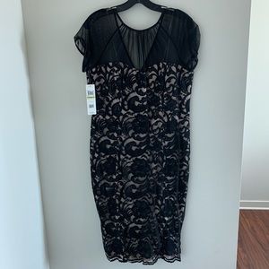 Black Lace Maggy London Dress